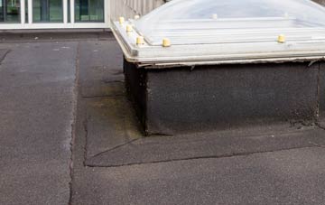 disadvantages of Rhewl Fawr flat roofs