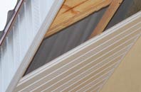 rated Rhewl Fawr soffit repair companies